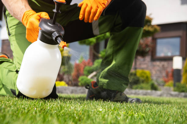 Best Rodent Control Near Me  in Geneseo, IL