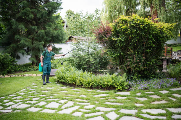 Best Best Pest Control Companies  in Geneseo, IL