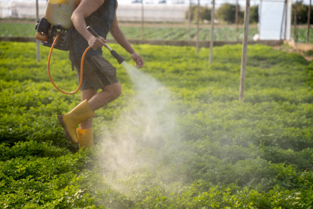 Best Commercial Pest Control Services  in Geneseo, IL