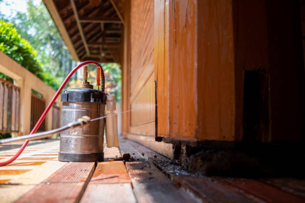 Best Affordable Pest Control Services  in Geneseo, IL