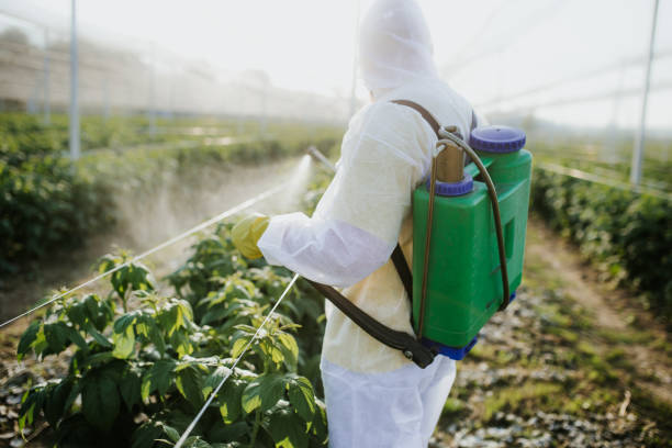 Best Exterminator Services  in Geneseo, IL